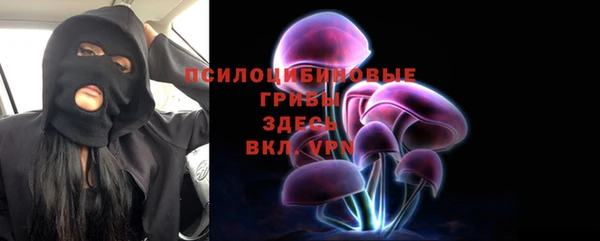 a pvp Краснослободск