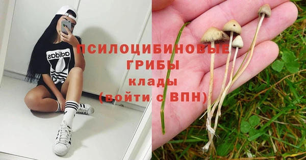 марки nbome Кукмор