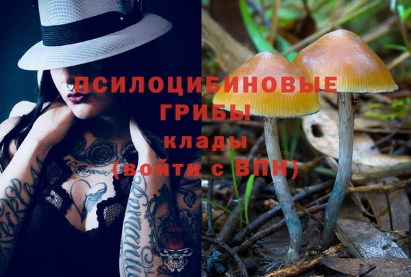 a pvp Краснослободск