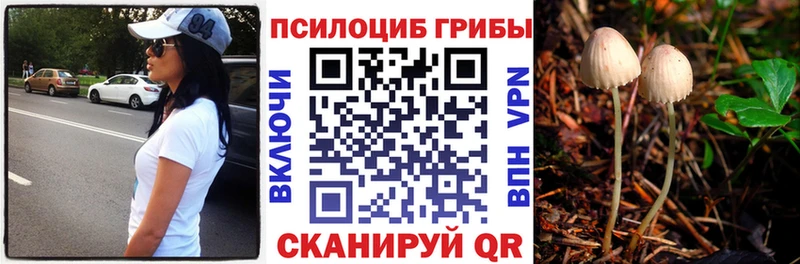 Купить закладки  Макаров  Галлюциногенные грибы мухоморы 
